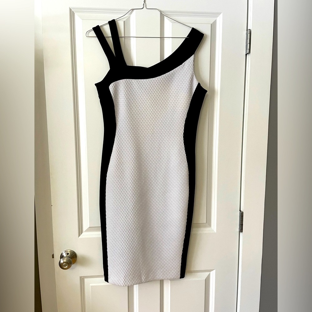 NWT Frank Lyman Design!  Fully lined & perfect for a special occasion!